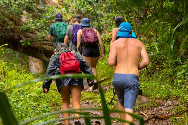 Hikemaui Maui Waterfall Rainforest Hike Guests Hiking