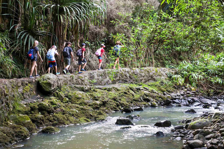 Hikemaui Maui Waterfall Rainforest Hike On The Road To Waterfall