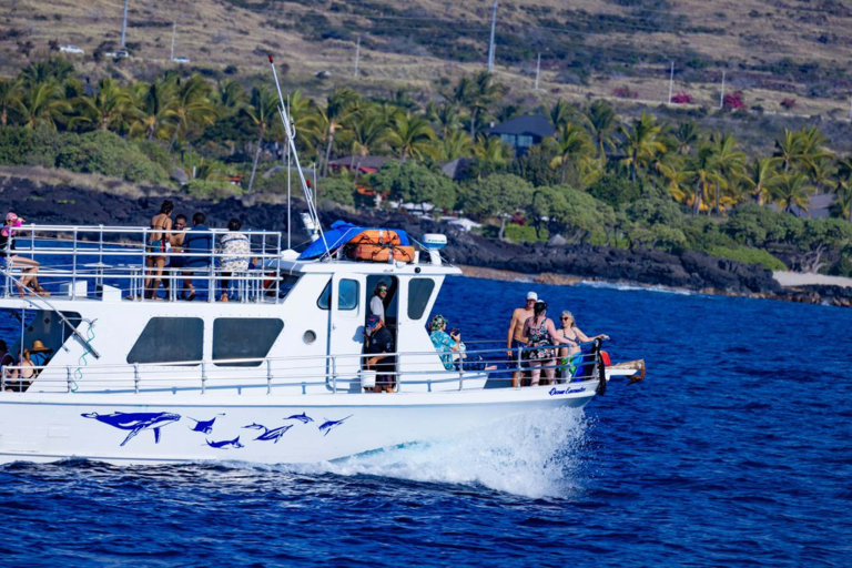 Swimwithdolphinsandmantas Kona Coast Morning Snorkel Trip Guests