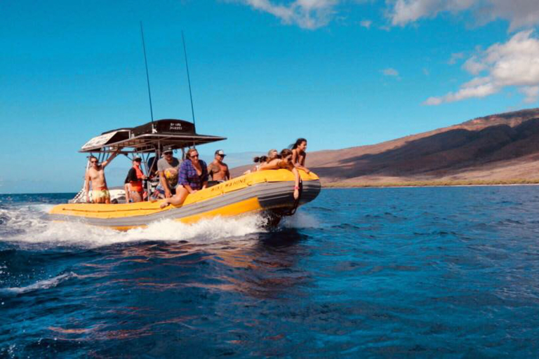 Ultimatewhalewatch Lanai  Hour Express Snorkel On Boat