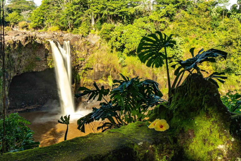 Hilo Waterfall Tour Rainbow Falls And Flowers Hilo