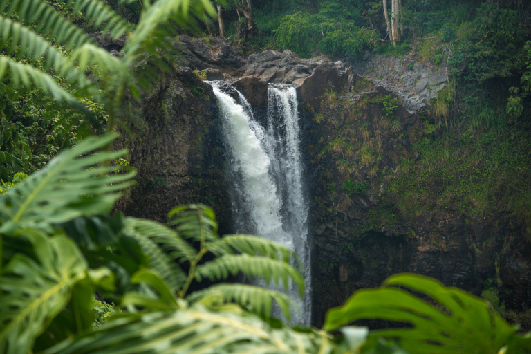 Hilo Waterfall Tour Waterfalls Stop