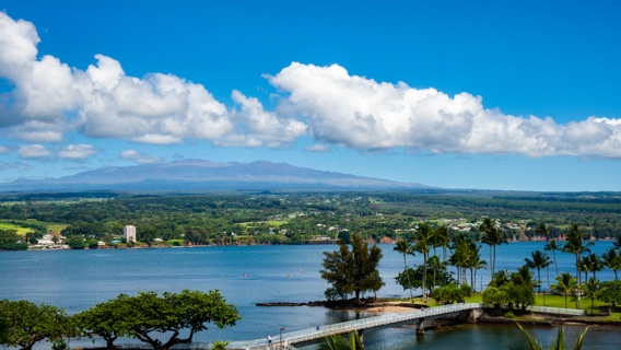 A View Of Hilo
