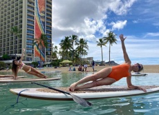 Hilton Hawaiian Village Waikiki Beach Resort Nearby Activities Mini