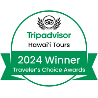 TripAdvisor Hawaii Tours